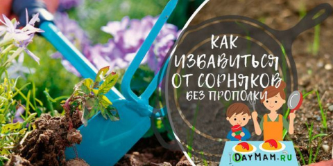 Jak se navždy zbavit plevele v zemi? Čištění trávy je snadné!